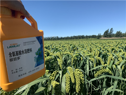 磷酸二氫鉀，拉姆拉，翠姆