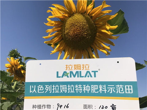 進口水溶肥，拉姆拉