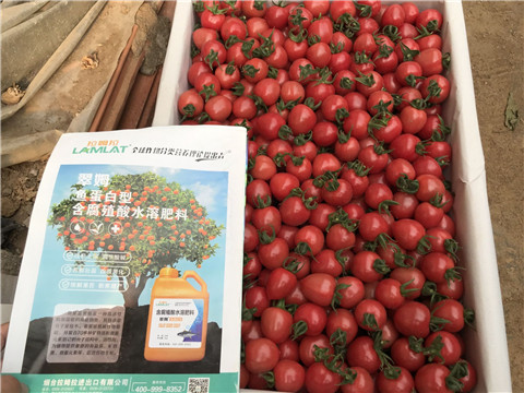 微生物菌劑，磷酸二氫鉀，翠姆，拉姆拉