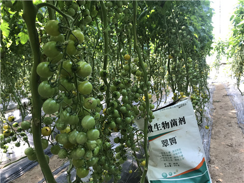 微生物菌劑，磷酸二氫鉀，翠姆，拉姆拉