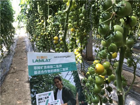 微生物菌劑，磷酸二氫鉀，翠姆，拉姆拉