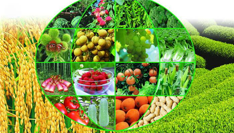 水溶肥，拉姆拉，翠姆