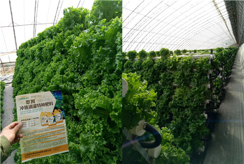 水溶肥，拉姆拉，翠姆