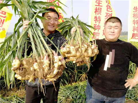 水溶肥，翠姆，拉姆拉