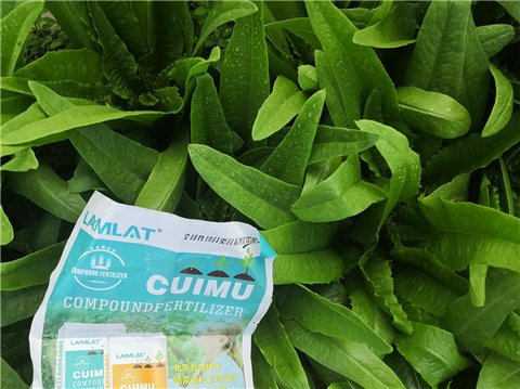 水溶肥，翠姆，拉姆拉