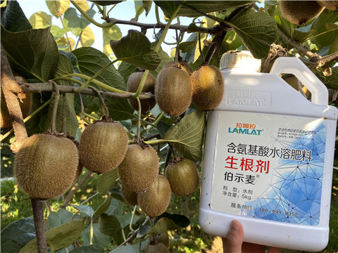 水溶肥，拉姆拉