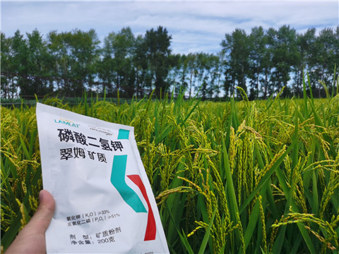 磷酸二氫鉀，拉姆拉，翠姆