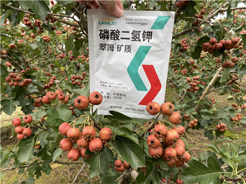 磷酸二氫鉀，拉姆拉，翠姆