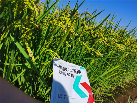 水溶肥，磷酸二氫鉀