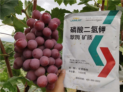 進(jìn)口水溶肥，拉姆拉，翠姆