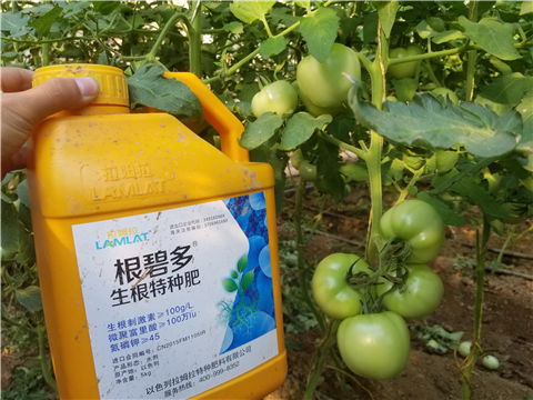 葉面肥，磷酸二氫鉀，微生物菌劑，翠姆，拉姆拉