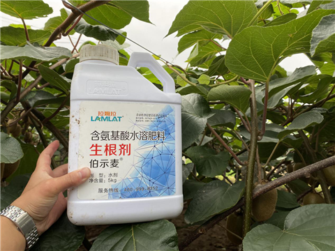 水溶肥，生根劑，微生物菌劑，伯示麥，拉姆拉