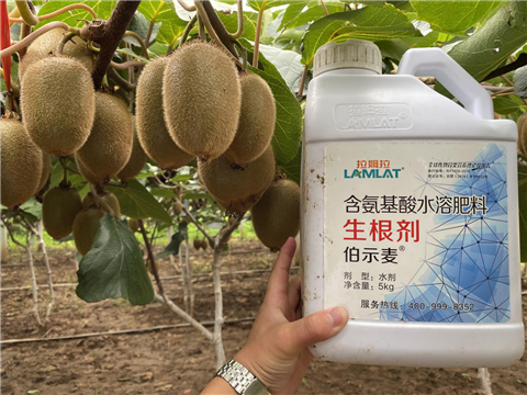 水溶肥，生根劑，微生物菌劑，伯示麥，拉姆拉