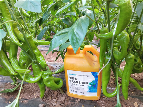 水溶肥，拉姆拉