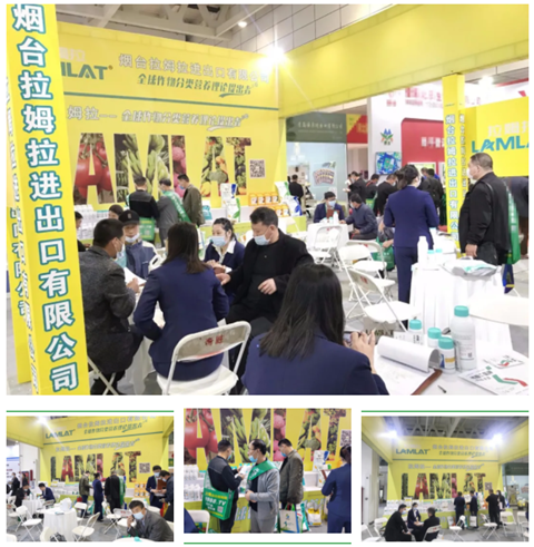 水溶肥，拉姆拉，翠姆