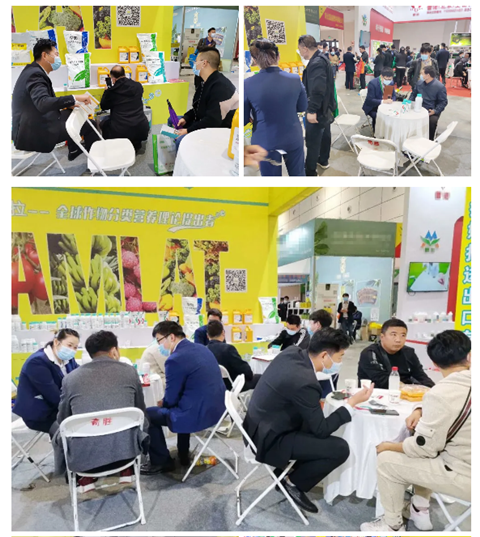水溶肥，拉姆拉，翠姆