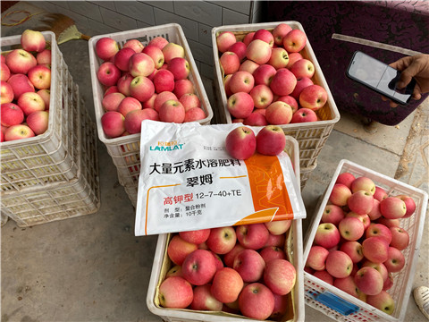 水溶肥，大量元素水溶肥，翠姆，拉姆拉