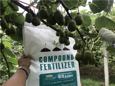 顆粒水溶肥，拉姆拉，翠姆