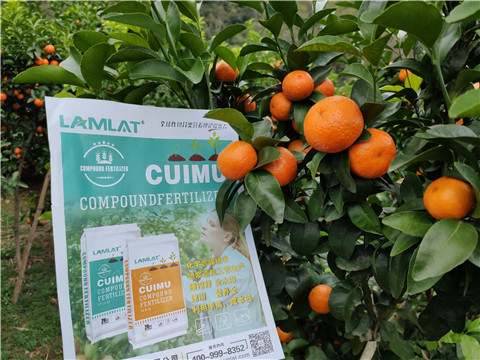 顆粒水溶肥，拉姆拉，翠姆