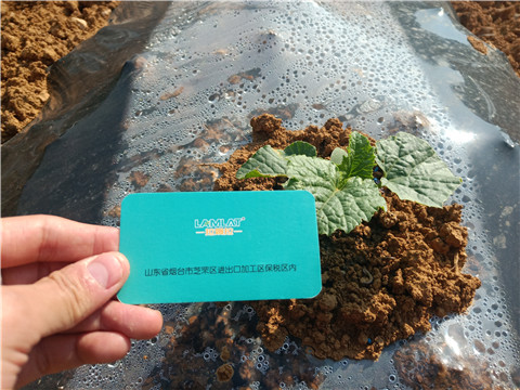 水溶肥，拉姆拉