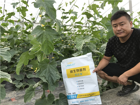 水溶肥，拉姆拉