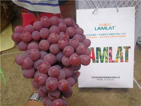 葉面肥，磷酸二氫鉀，鈣肥，翠姆，拉姆拉