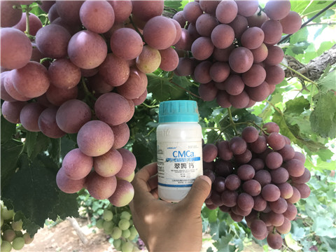 葉面肥，磷酸二氫鉀，鈣肥，翠姆，拉姆拉