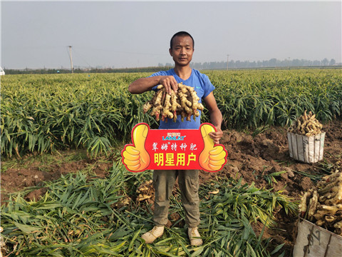 進口水溶肥，拉姆拉，翠姆