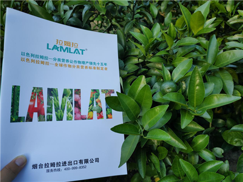 水溶肥，拉姆拉，翠姆