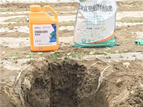 水溶肥，拉姆拉，翠姆