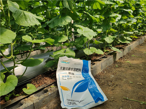 大量元素水溶肥，拉姆拉，翠姆