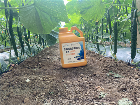 水溶肥，拉姆拉，翠姆