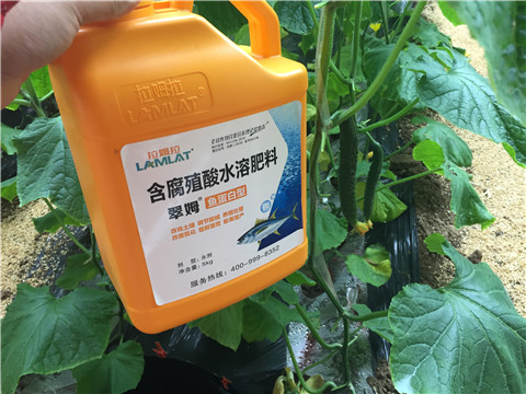 滴灌肥，拉姆拉，翠姆