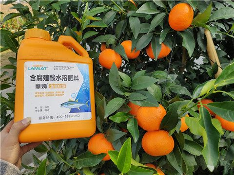 滴灌肥，拉姆拉，翠姆