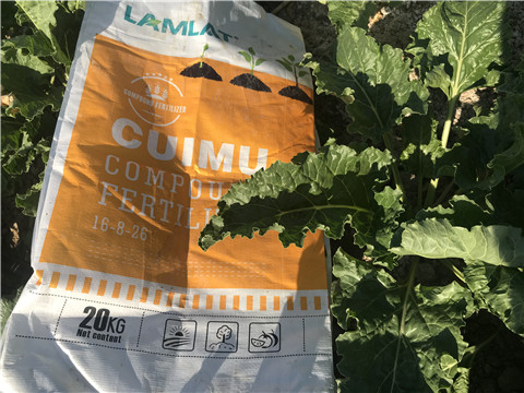 顆粒水溶肥，拉姆拉，翠姆