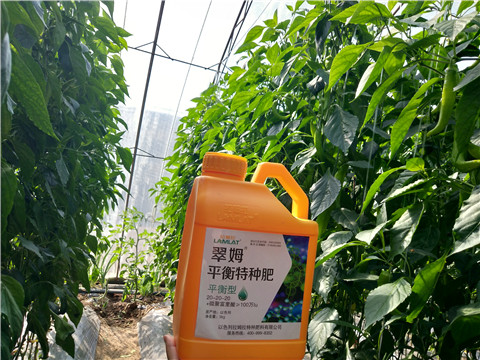 滴灌肥，拉姆拉，翠姆