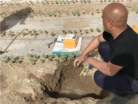 水溶肥，拉姆拉，翠姆