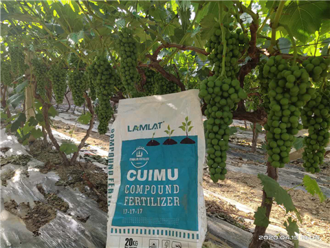 水溶肥，拉姆拉，翠姆