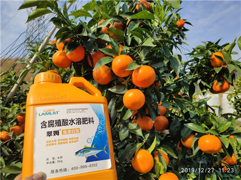 水溶肥，拉姆拉，翠姆