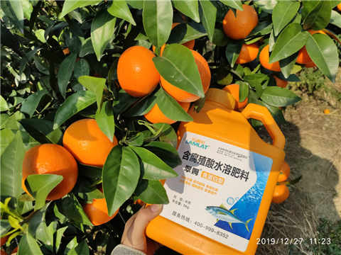 水溶肥，拉姆拉，翠姆