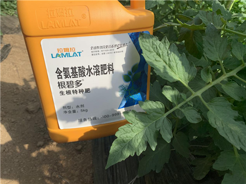 水溶肥，拉姆拉，翠姆