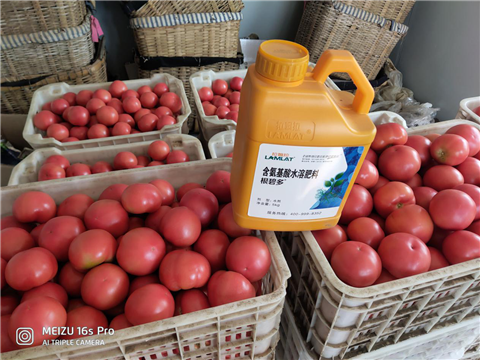 水溶肥，拉姆拉，翠姆