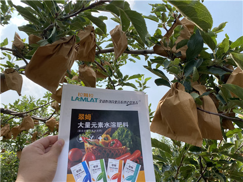 大量元素水溶肥，拉姆拉，翠姆