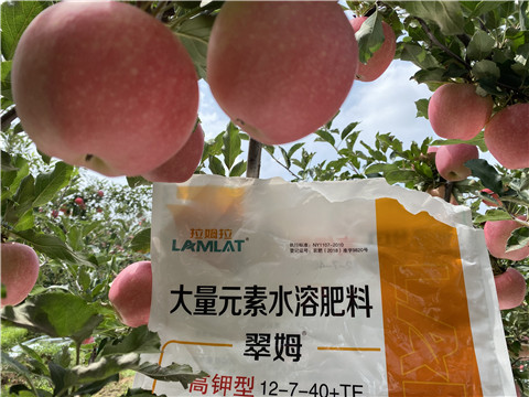 大量元素水溶肥，拉姆拉，翠姆