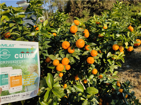 進口水溶肥，拉姆拉，翠姆