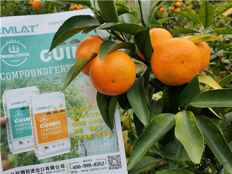 顆粒水溶肥，拉姆拉，翠姆