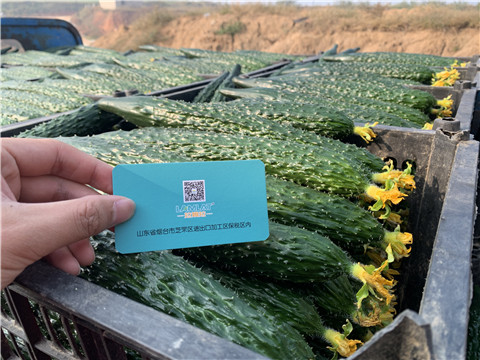 水溶肥，拉姆拉，伯示麥