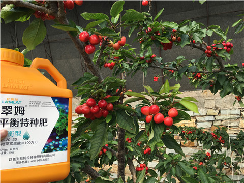 水溶肥，拉姆拉，翠姆