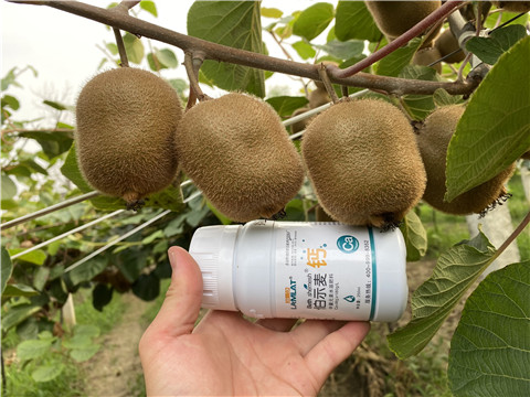 有機(jī)肥,無機(jī)肥 有機(jī)肥,無機(jī)肥