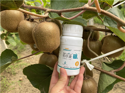 有機(jī)肥,無機(jī)肥 有機(jī)肥,無機(jī)肥